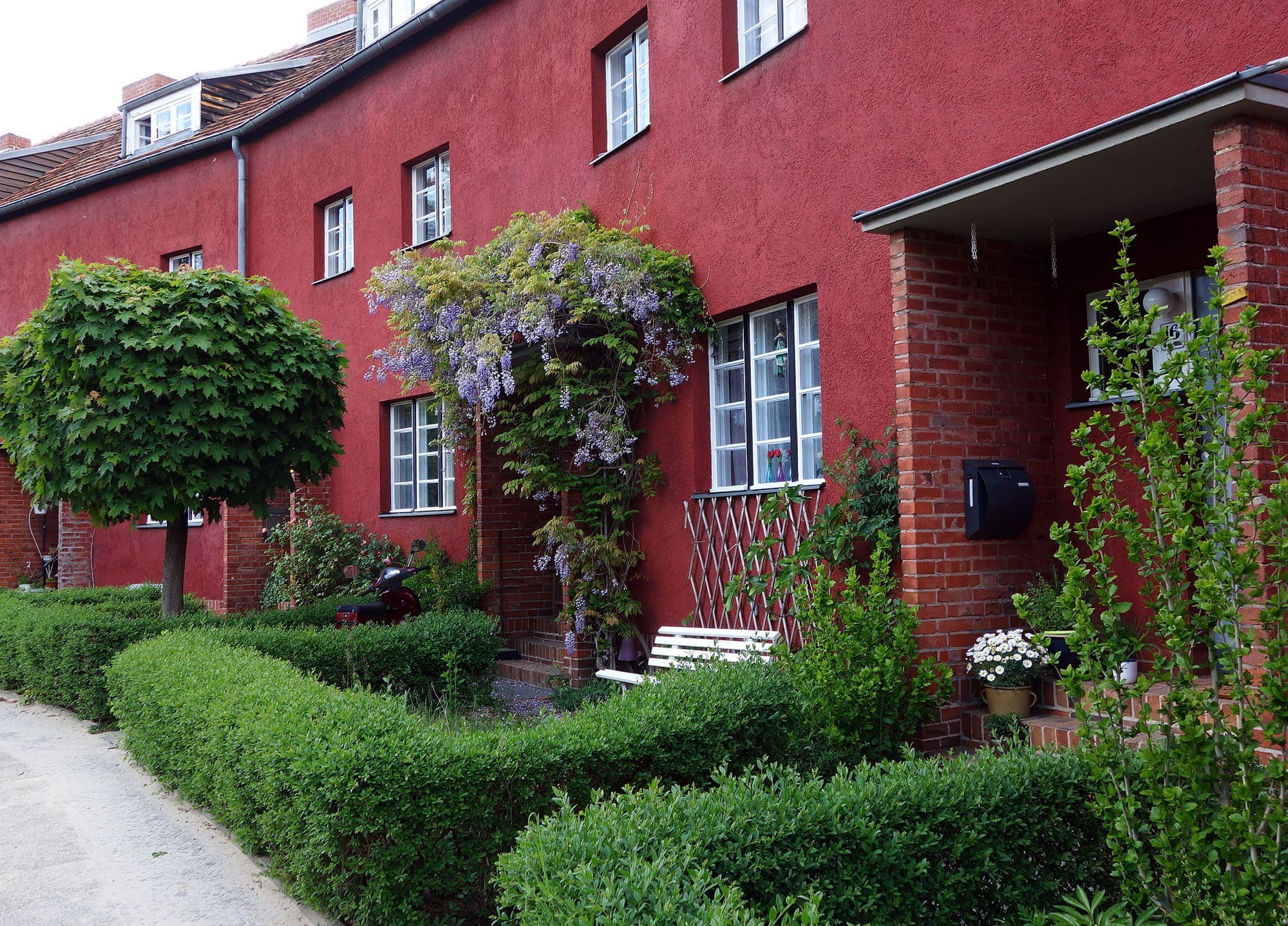 Rotes Reihenhaus mit Glyzinie und Hecken in der Hufeisensiedlung
